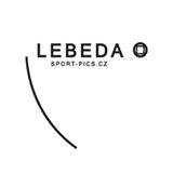 logo lebeda